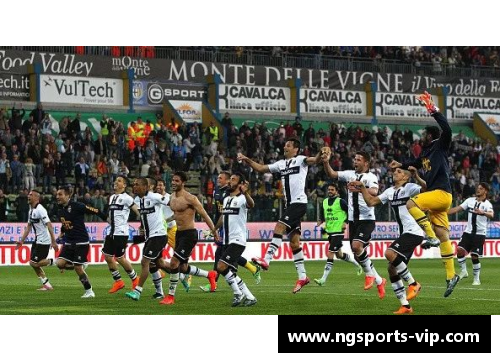 意甲联赛：揭秘球员身份和历史背景